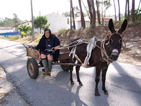 Woman on cart pulled by donkey - Quirios, Portugal