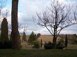Lucignano - La Casalta - Tuscan fields